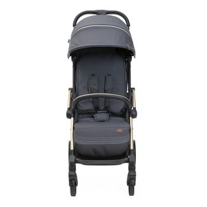 Carrinho Chicco Fechamento Automático Compacto 0-15 kg Goody Xplus Cinza - 7087040270000
